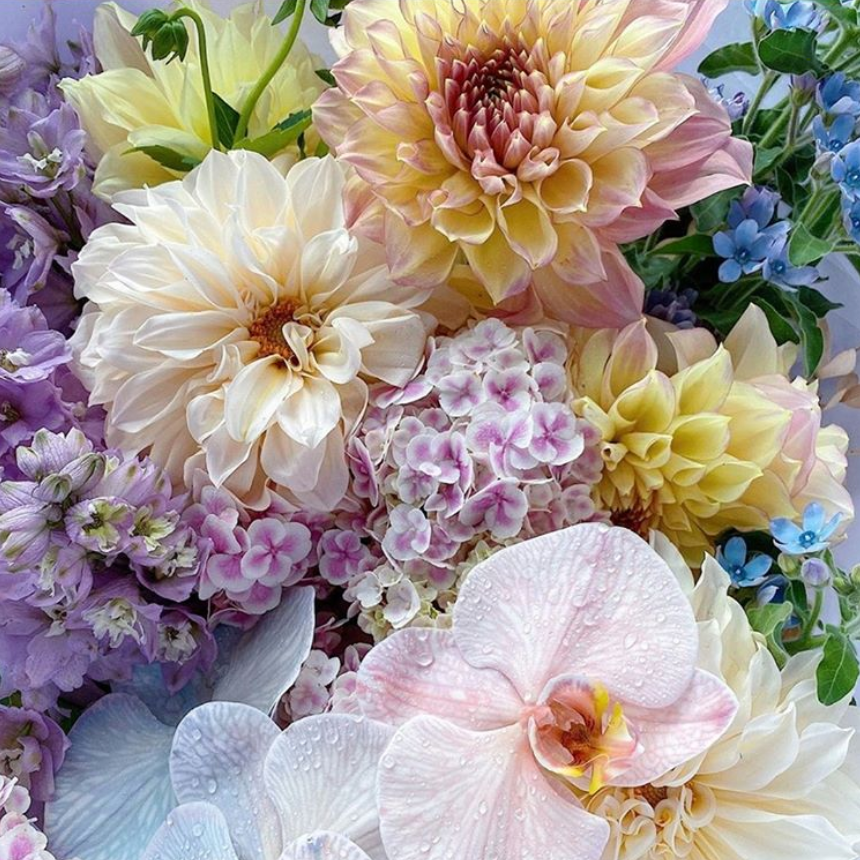 Let's Take a Moment to Look on the Bright Side